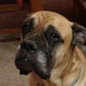 Meet your Posher, Allyson